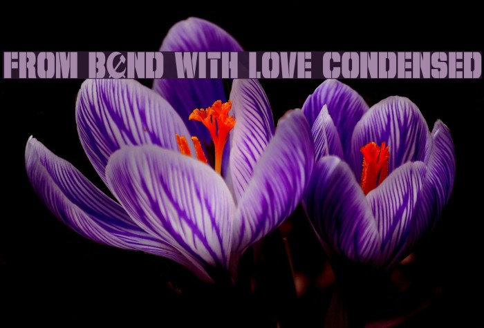 From BOND With Love Condensed フォント examples