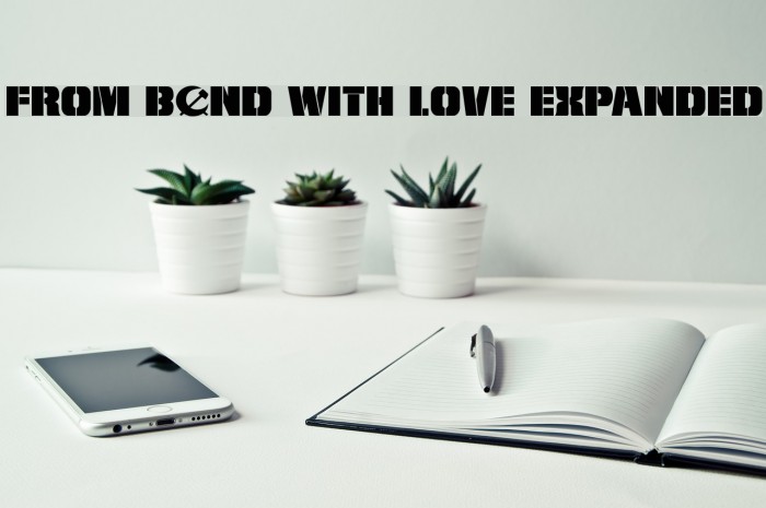 From BOND With Love Expanded Example 2