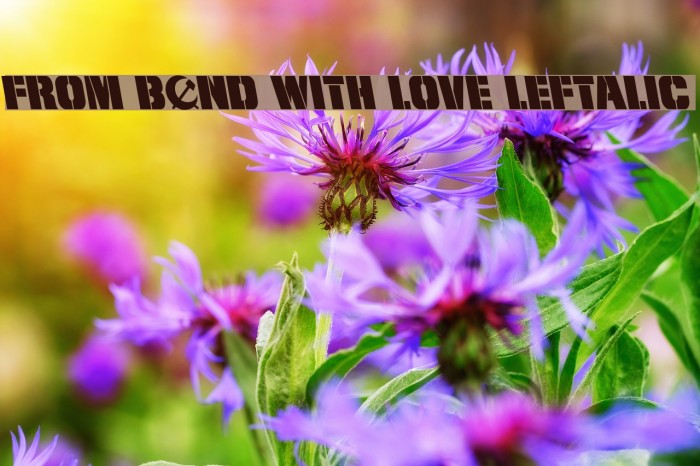 From BOND With Love Leftalic Font examples