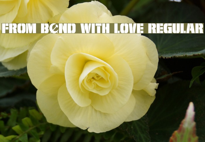 From BOND With Love Regular Font examples