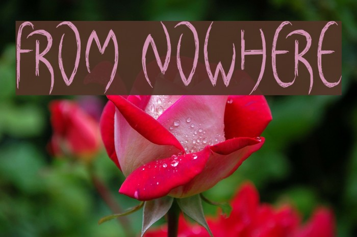 From Nowhere Font examples
