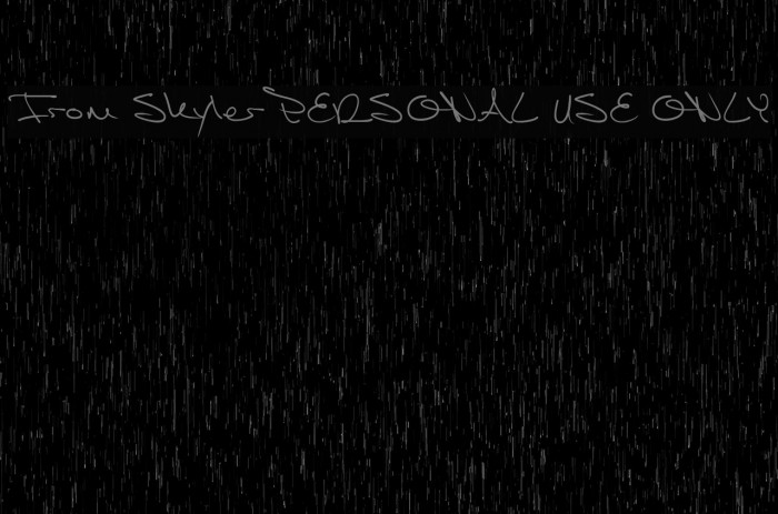 From Skyler PERSONAL USE ONLY Font examples
