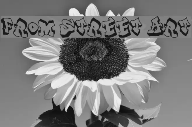 From Street Art Schriftart examples