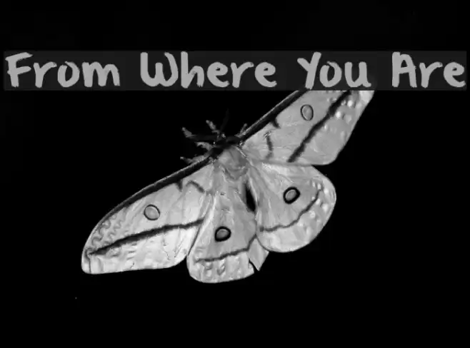 From Where You Are Font examples