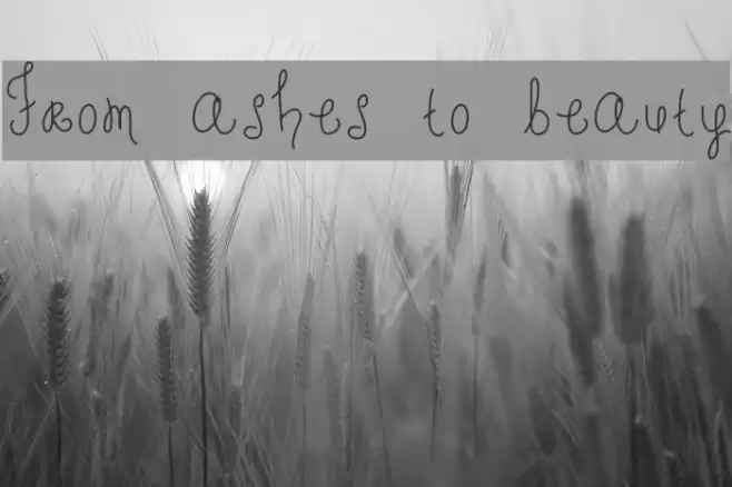 From ashes to beauty Font examples