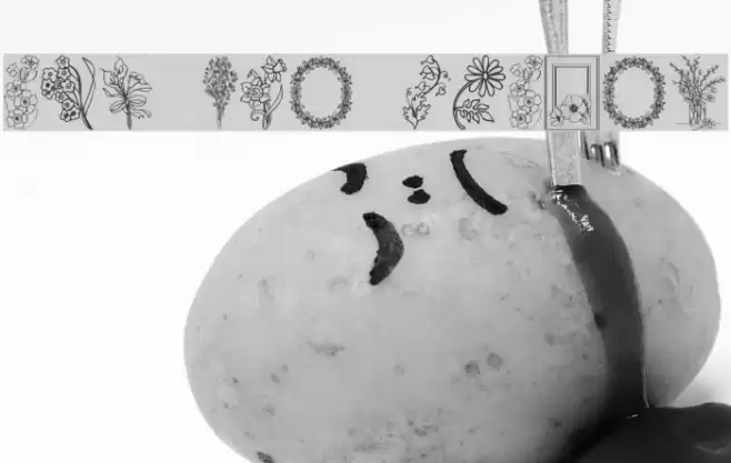 From the garden Font examples