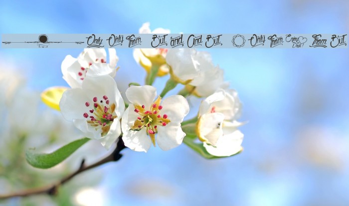 From this Moment Font examples