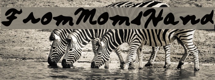 FromMomsHand Example 3