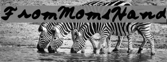 FromMomsHand Font examples