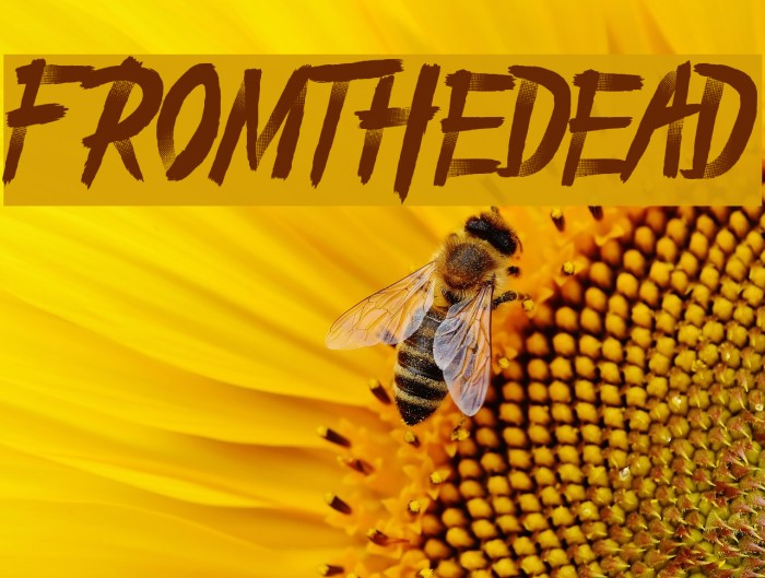 From_the_Dead Font examples