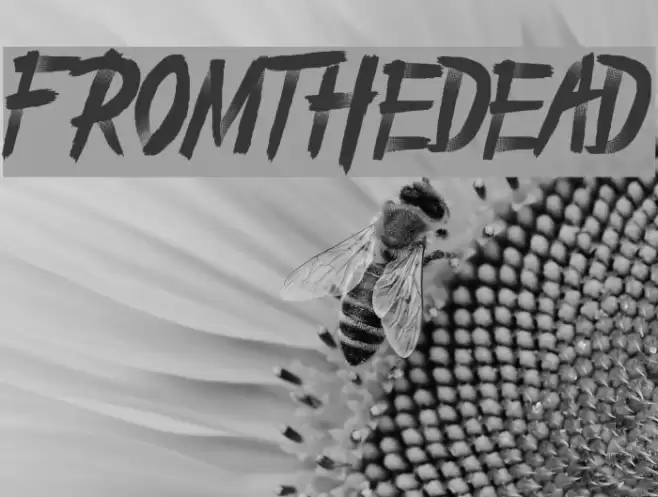 From_the_Dead Font examples