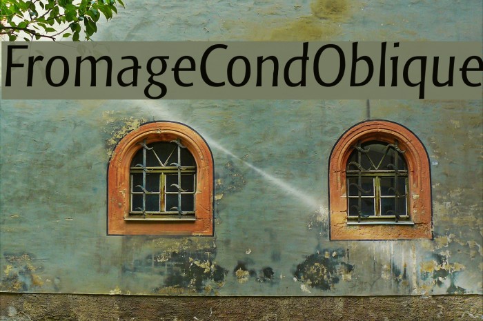 FromageCondOblique Font examples