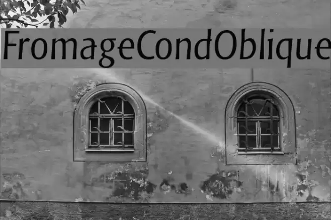 FromageCondOblique خط examples