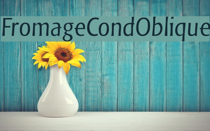FromageCondOblique Font examples