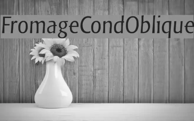 FromageCondOblique خط examples