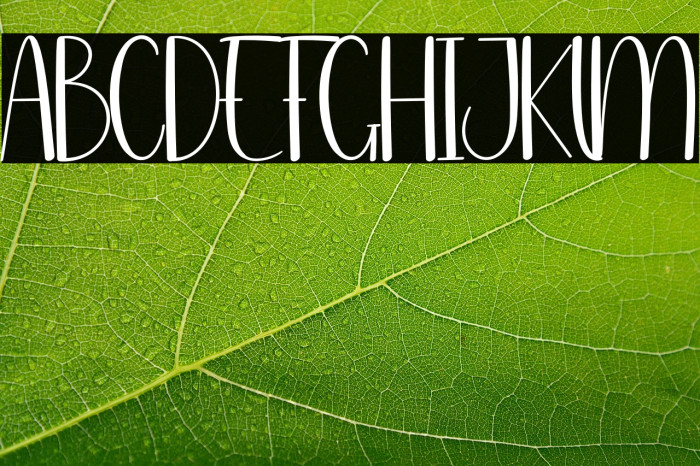 Front House Example 1