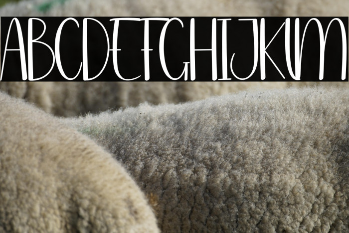 Front House Example 2