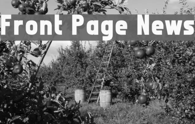 Front Page News Font examples