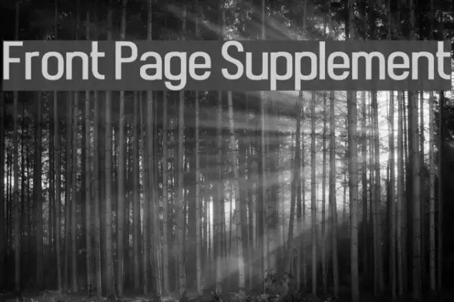 Front Page Supplement Шрифта examples