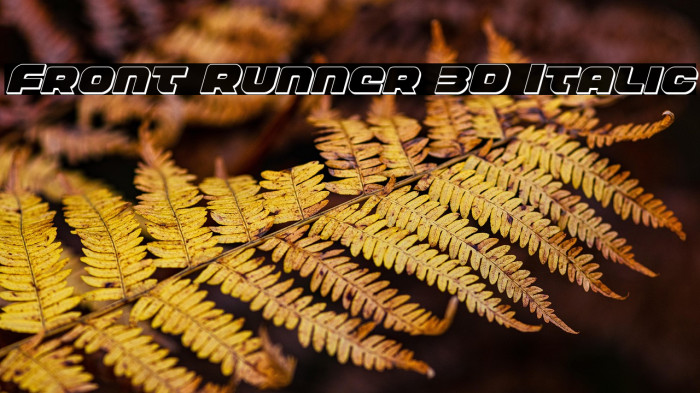 Front Runner 3D Italic Example 3