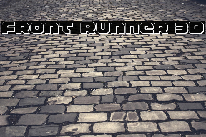 Front Runner 3D Example 1