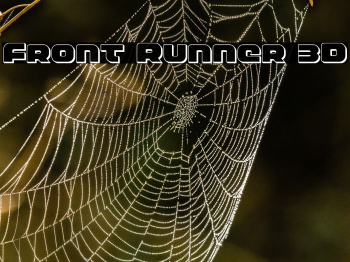 Front Runner 3D Example 2