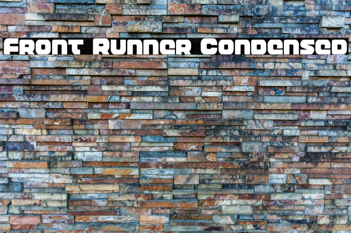 Front Runner Condensed Example 2