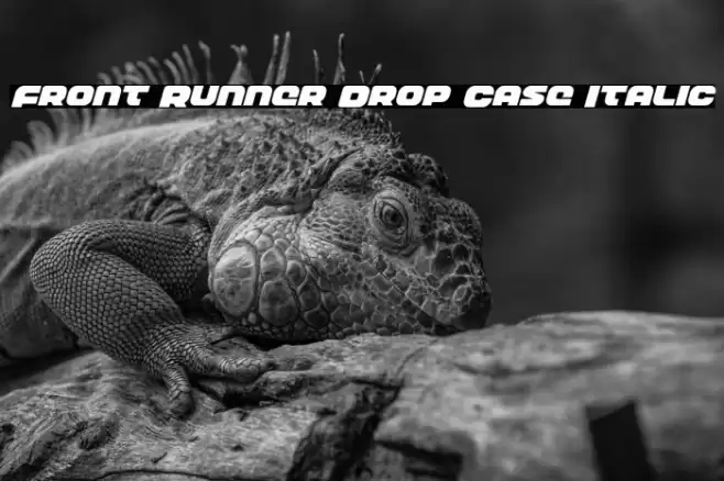 Front Runner Drop Case Italic Font examples