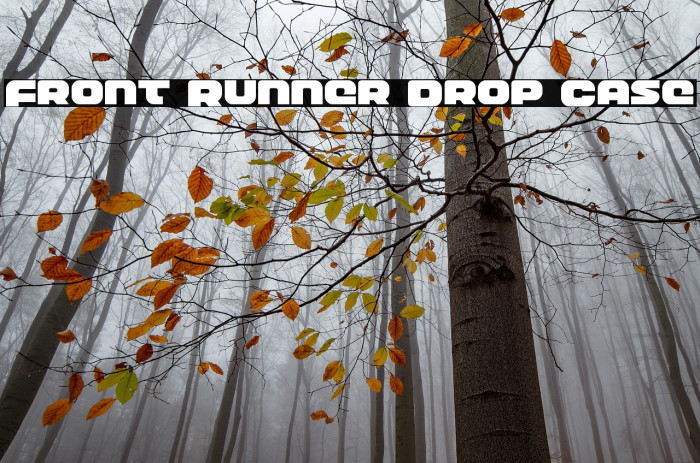 Front Runner Drop Case Example 2