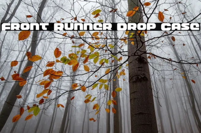 Front Runner Drop Case Example 2