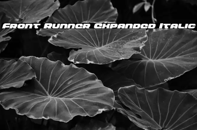 Front Runner Expanded Italic Font examples