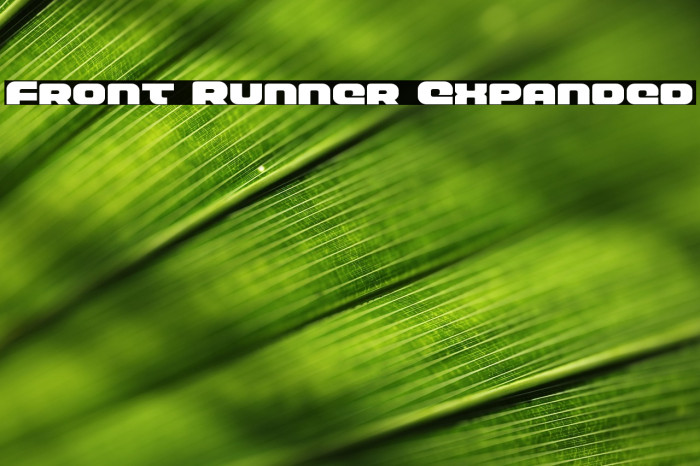 Front Runner Expanded Example 3