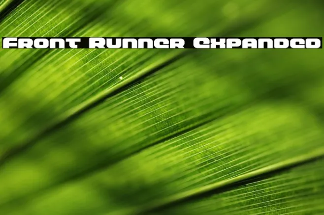 Front Runner Expanded Example 3
