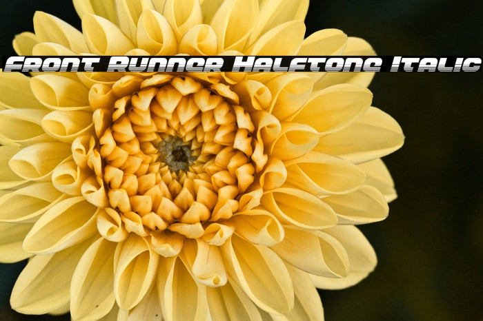 Front Runner Halftone Italic Example 2