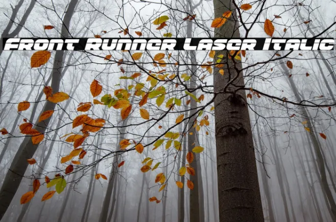Front Runner Laser Italic Example 2