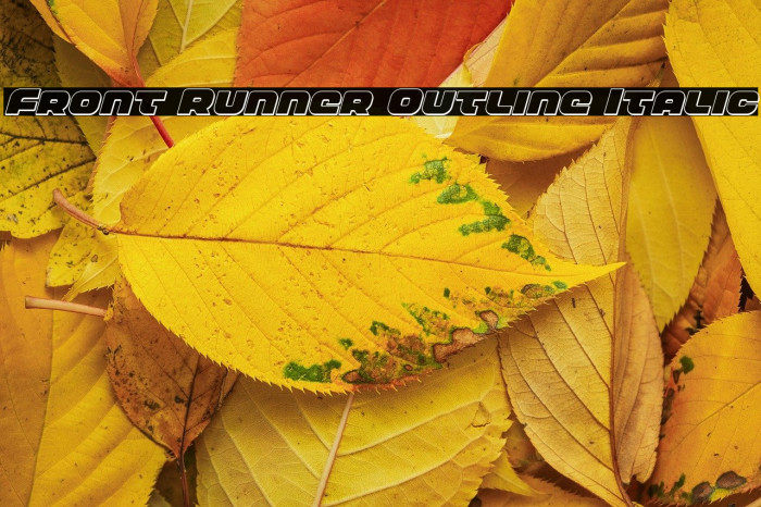 Front Runner Outline Italic Example 1