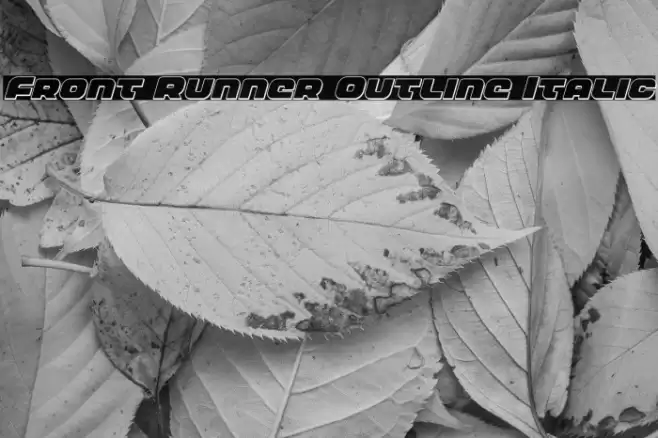 Front Runner Outline Italic Font examples