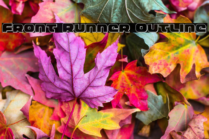 Front Runner Outline Example 2