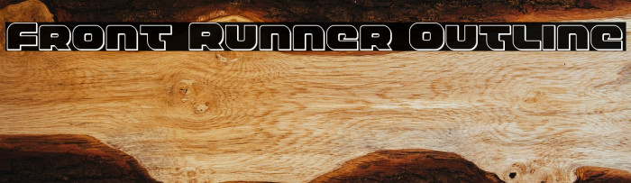 Front Runner Outline Example 3