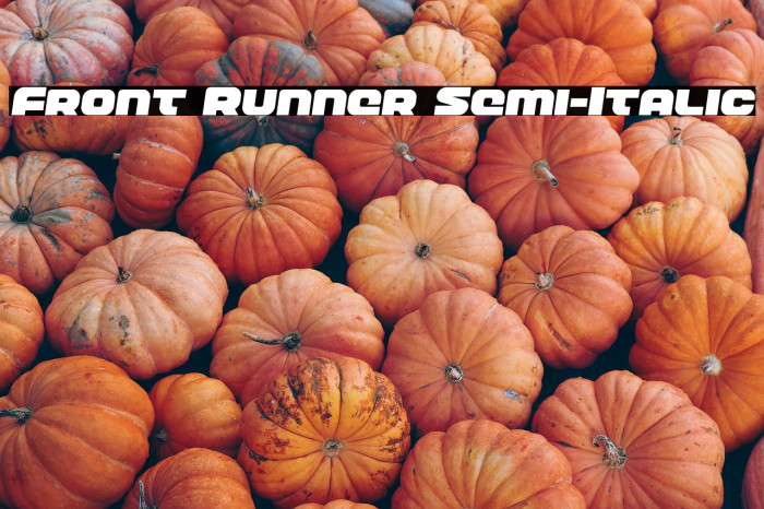 Front Runner Semi-Italic Example 2