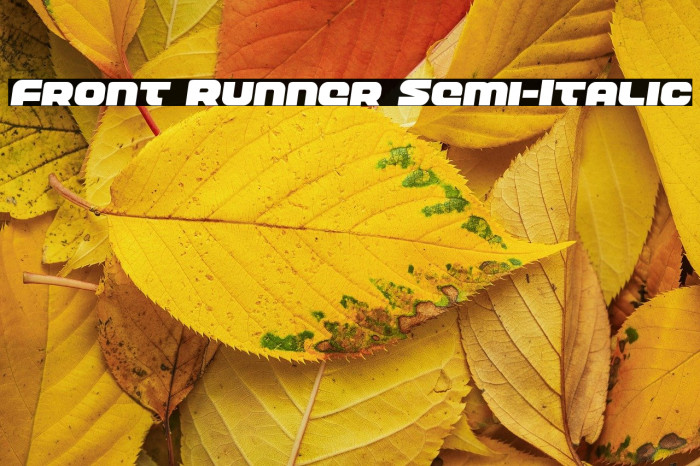 Front Runner Semi-Italic Example 3