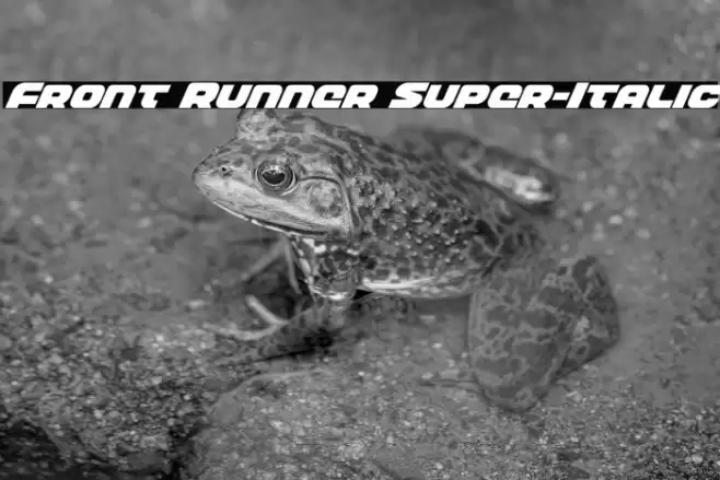 Front Runner Super-Italic Font examples