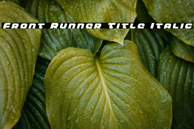 Front Runner Title Italic Example 3
