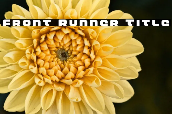 Front Runner Title Example 2