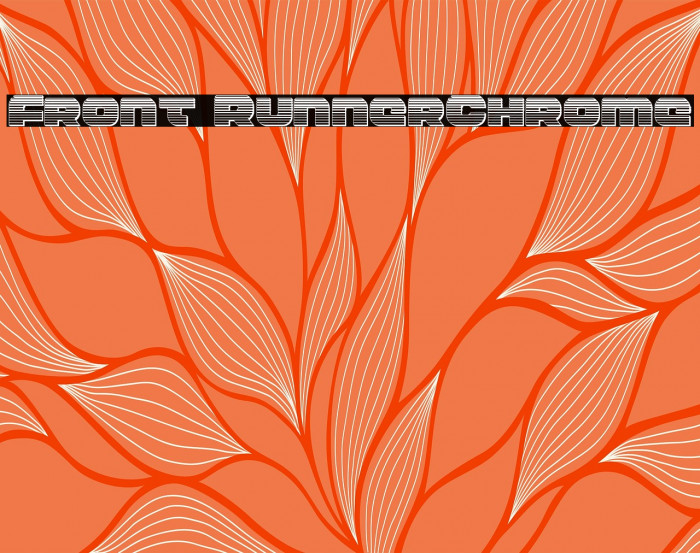 Front RunnerChrome Example 3