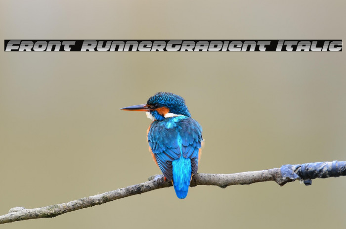 Front RunnerGradient Italic Example 2