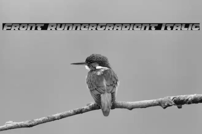 Front RunnerGradient Italic Font examples