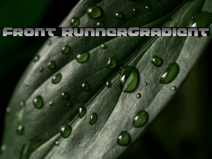 Front RunnerGradient Example 1