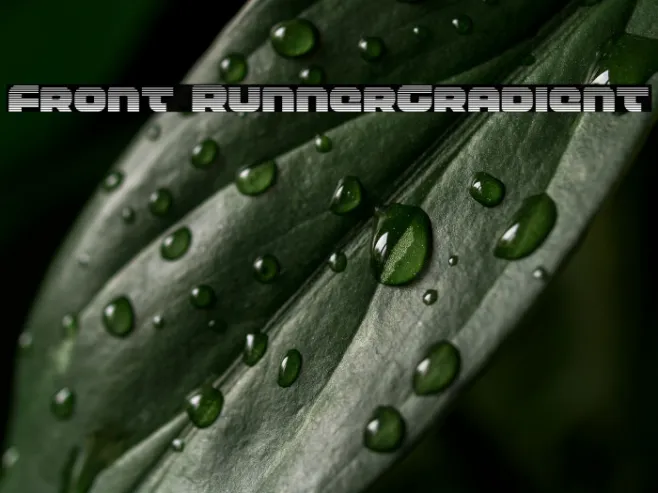 Front RunnerGradient Example 1