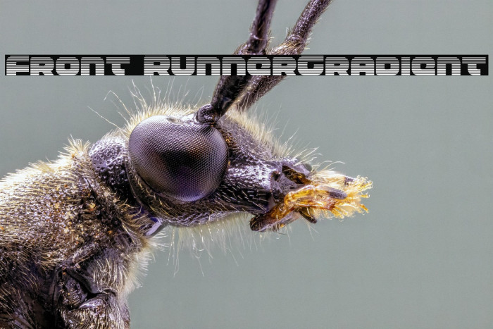 Front RunnerGradient Example 3